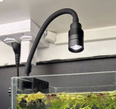 Luz Spot 5w (angulo regulable 15 a 60°) 3 tonos