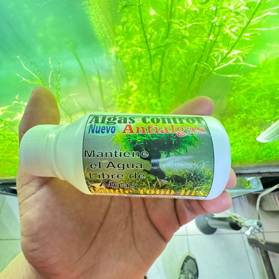 Algas Control Rem 125cc