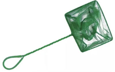 Red 10pulgadas 24*20cm