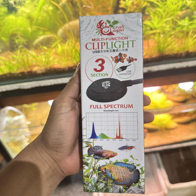 Luz Led 10w (paludarios)