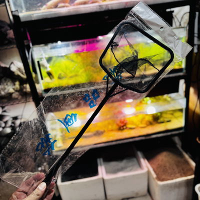 Red Negra Mango de Plastico 14cm