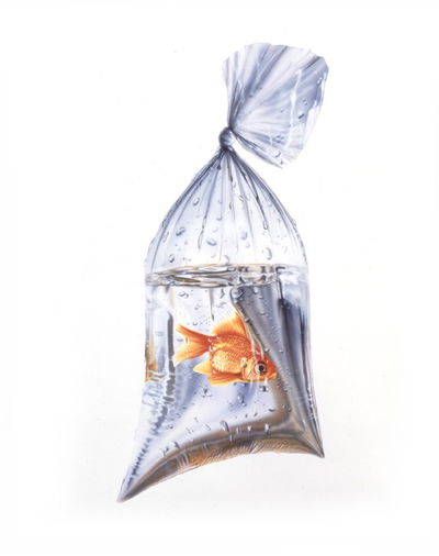 Bolsa Mediana x1 para Transporte Peces Reforzada 