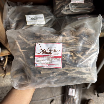 Ramificaciones 500gr para Hardscape