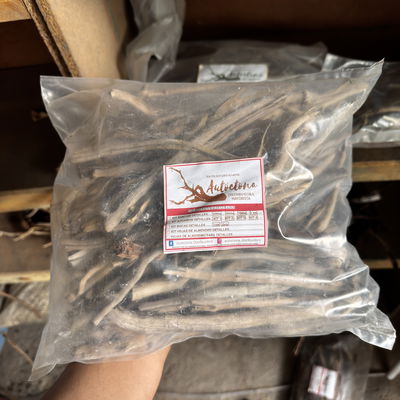 Ramificaciones 750gr para Hardscape