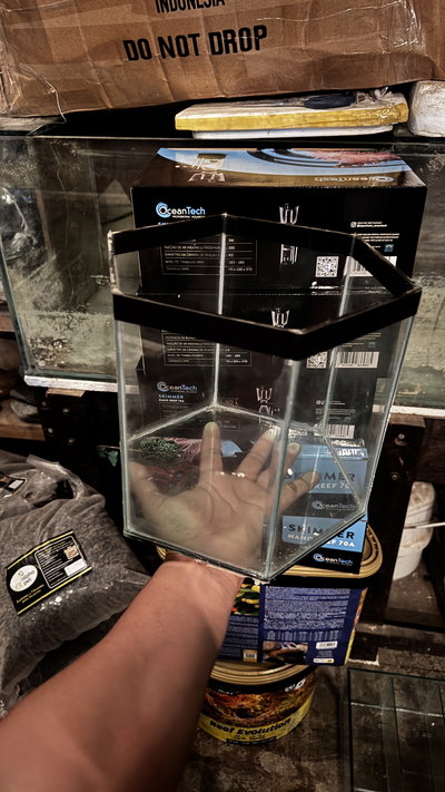 Pecera Hexagonal 11x21x22cm