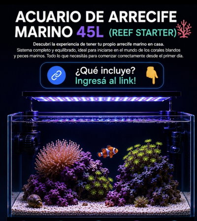 Acuario Marino de Arrecife 45litros Completo