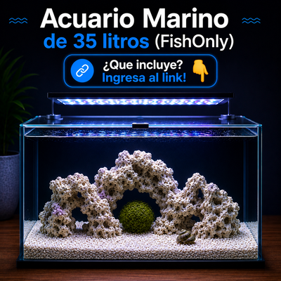Acuario Marino 35litros Completo