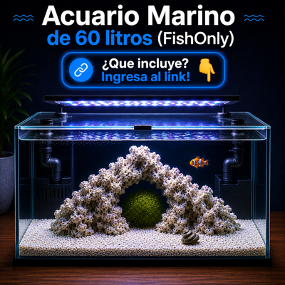 Acuario Marino 60litros Completo
