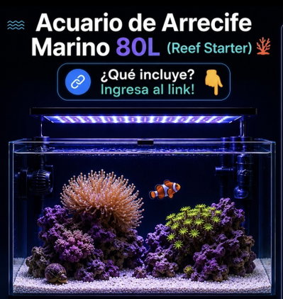 Acuario Marino de Arrecife 80litros Completo