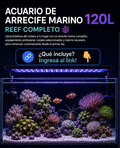 Acuario Marino de Arrecife 120litros Completo