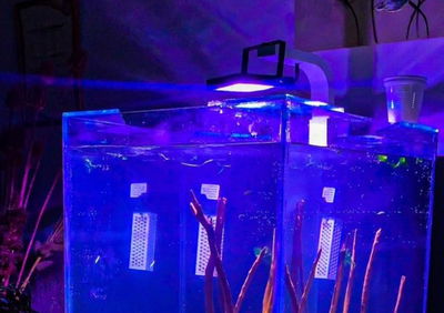 Iluminador SMART WIFI RGB 50w