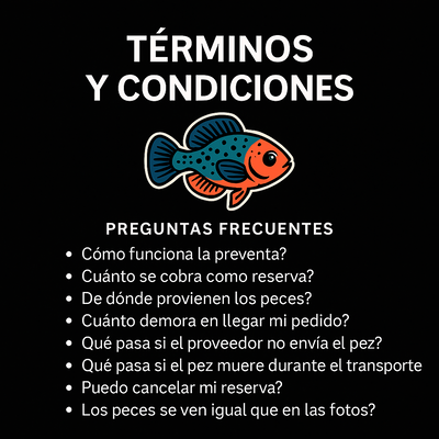 TERMINOS Y CONDICIONES / CONSULTAS FRECUENTES