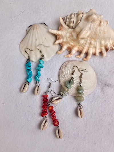 Aros de escallas con caracol