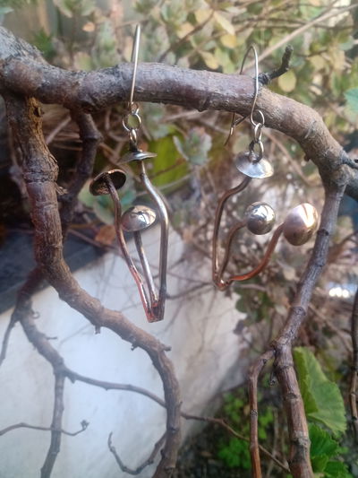 Aros honguitos