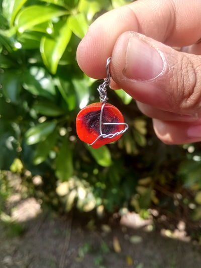 Dije coral