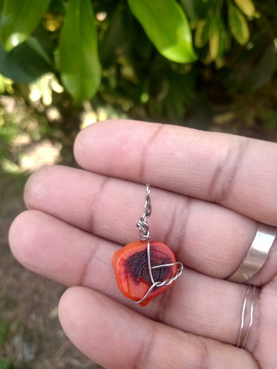 Dije coral