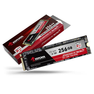 DISCO SSD KEEPDATA M.2 PCle Gen 3.0 X 4 NVME 256GB