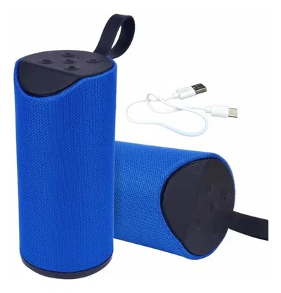 PARLANTE PORTABLE 113