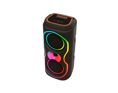 PARLANTE XAEA TORRE 5"X2 MOD003S
