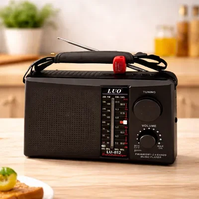 RADIO AM/FM CON DIAL LUO MODLU-812