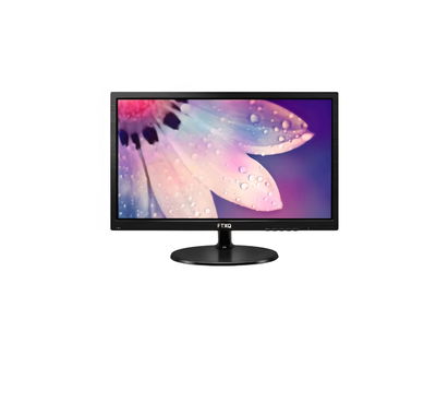 MONITOR LCD 19" FTXQ1901