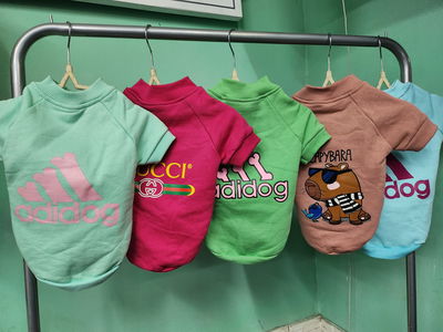 Campera algodón T.3