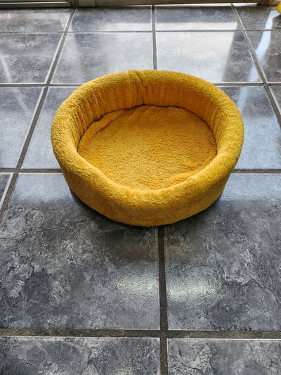 Moises corderito 40cm