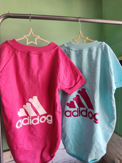 Campera algodón T.10