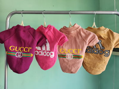 Campera algodón T.2