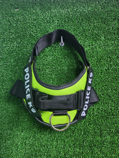 Arnés K9 importado L