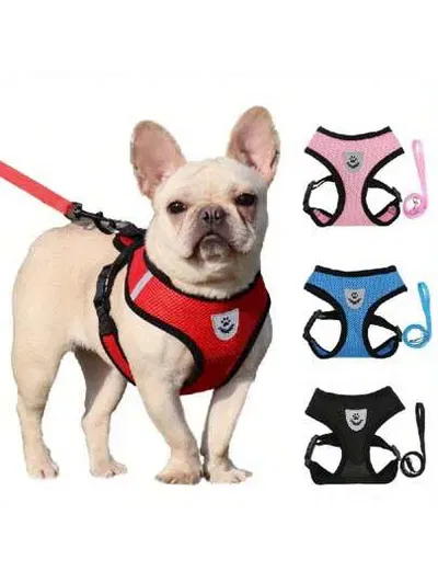 Arnés + correa aireado S