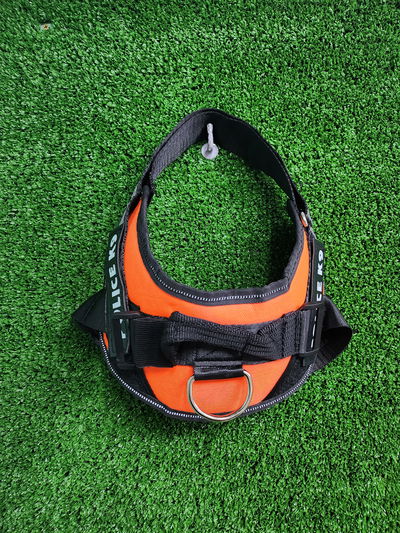 Arnés K9 importado M