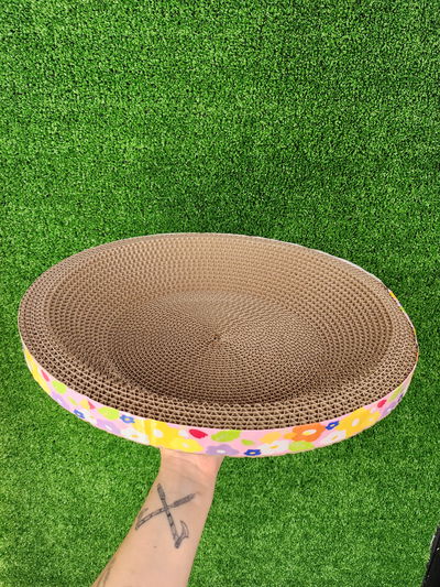 Rascador moises bowl