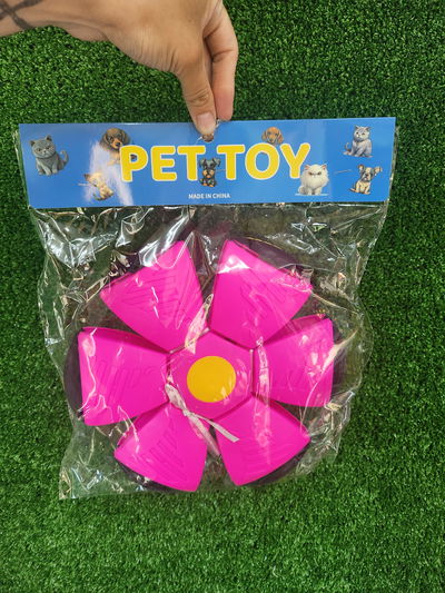 Juguete pelota fresbee