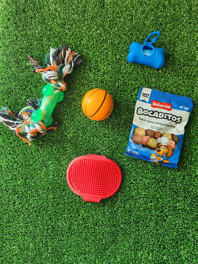 Combo navideño para perro