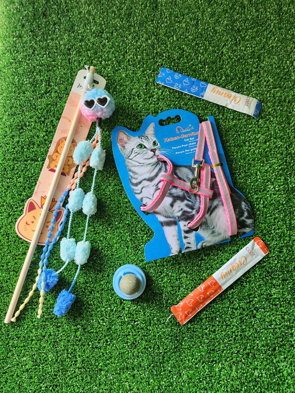 Combo navideño para gato