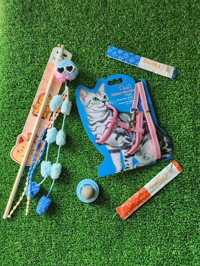 Combo navideño para gato