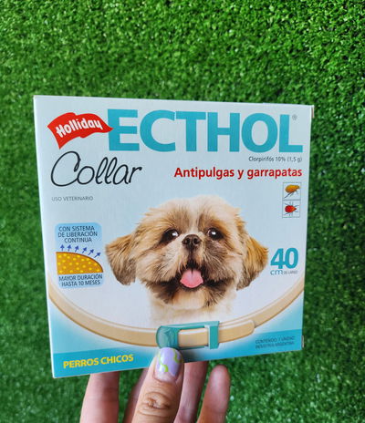 Collar Ecthol perro chico