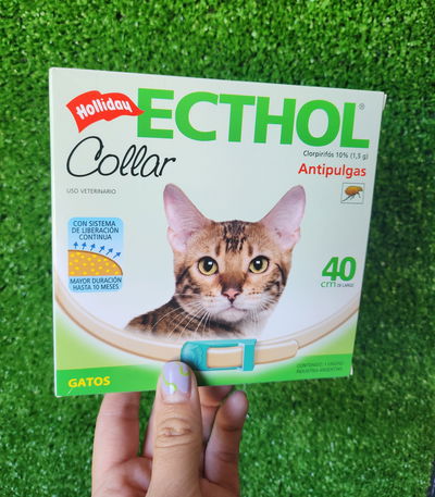 Collar Ecthol gato