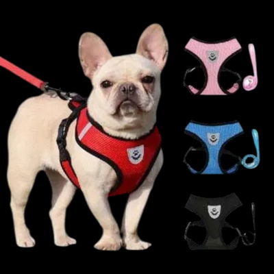 Arnés + correa aireado S