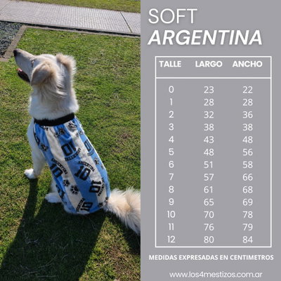 TABLA DE MEDIDAS SOFT ARGENTINA 