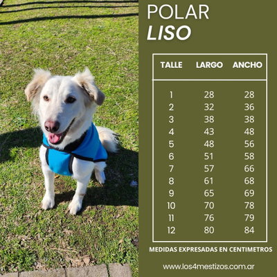 TABLA DE MEDIDAS POLAR LISO