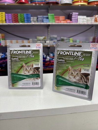 Pipeta Frontline plus gato 