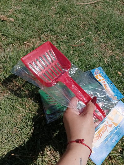 Palita sanitaria
