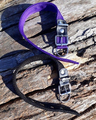 Collar nylon reforzado talle 1