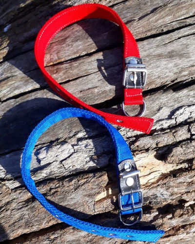 Collar nylon reforzado talle 2