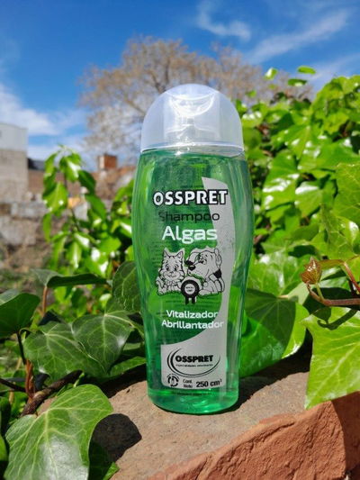 Shampoo Osspret algas
