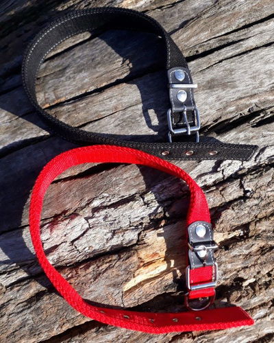 Collar nylon reforzado talle 3