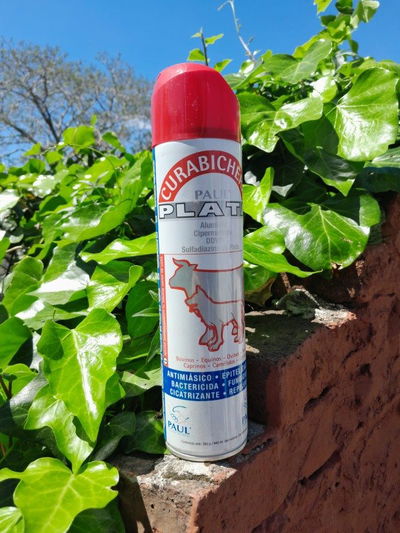 Curabichera Paul