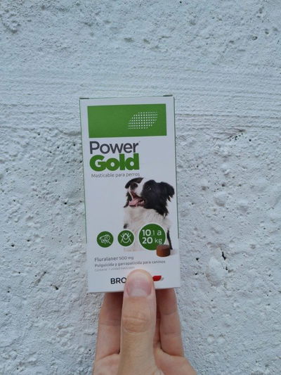 Comprimido Power Gold 10 a 20kg (3 meses)